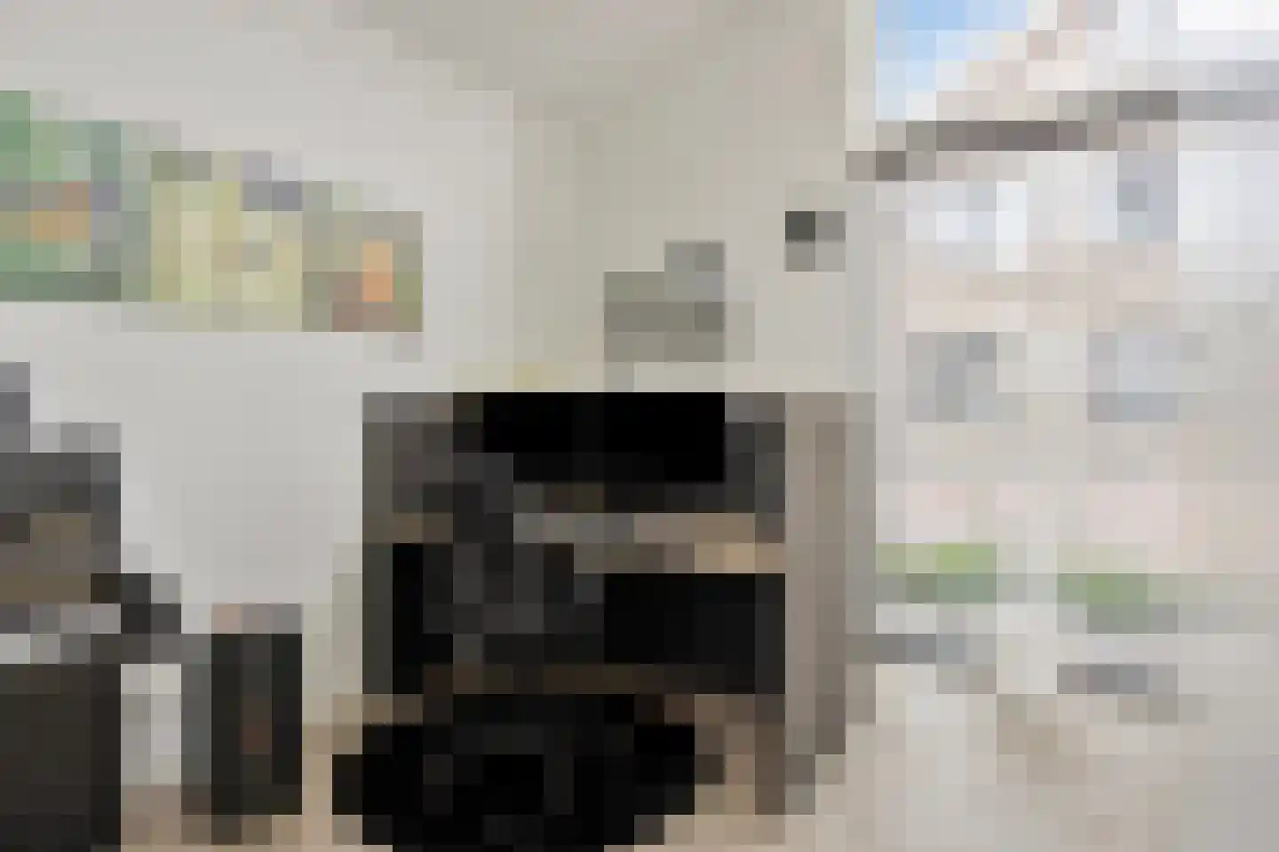 Randestraat 29 Zwolle thumbnail 8