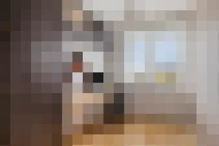 Randestraat 39 Zwolle thumbnail 16