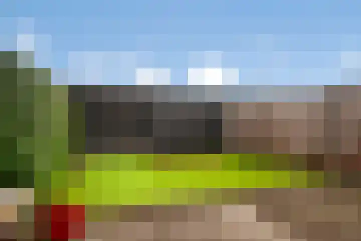 Randestraat 39 Zwolle thumbnail 23