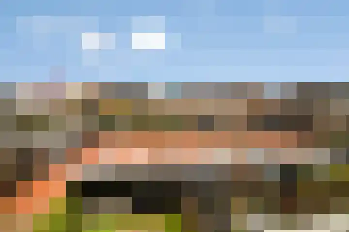 Randestraat 39 Zwolle thumbnail 25