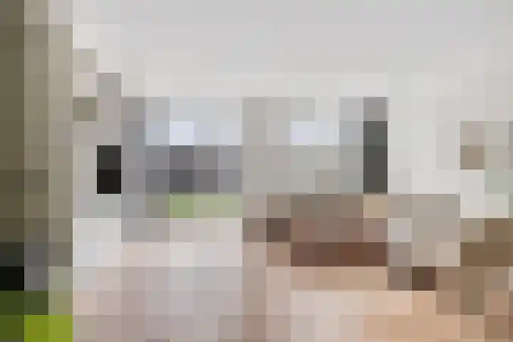 Randestraat 39 Zwolle thumbnail 5