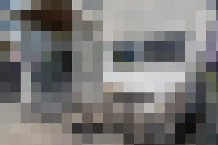 Randhoeve 223 103 Houten thumbnail 13