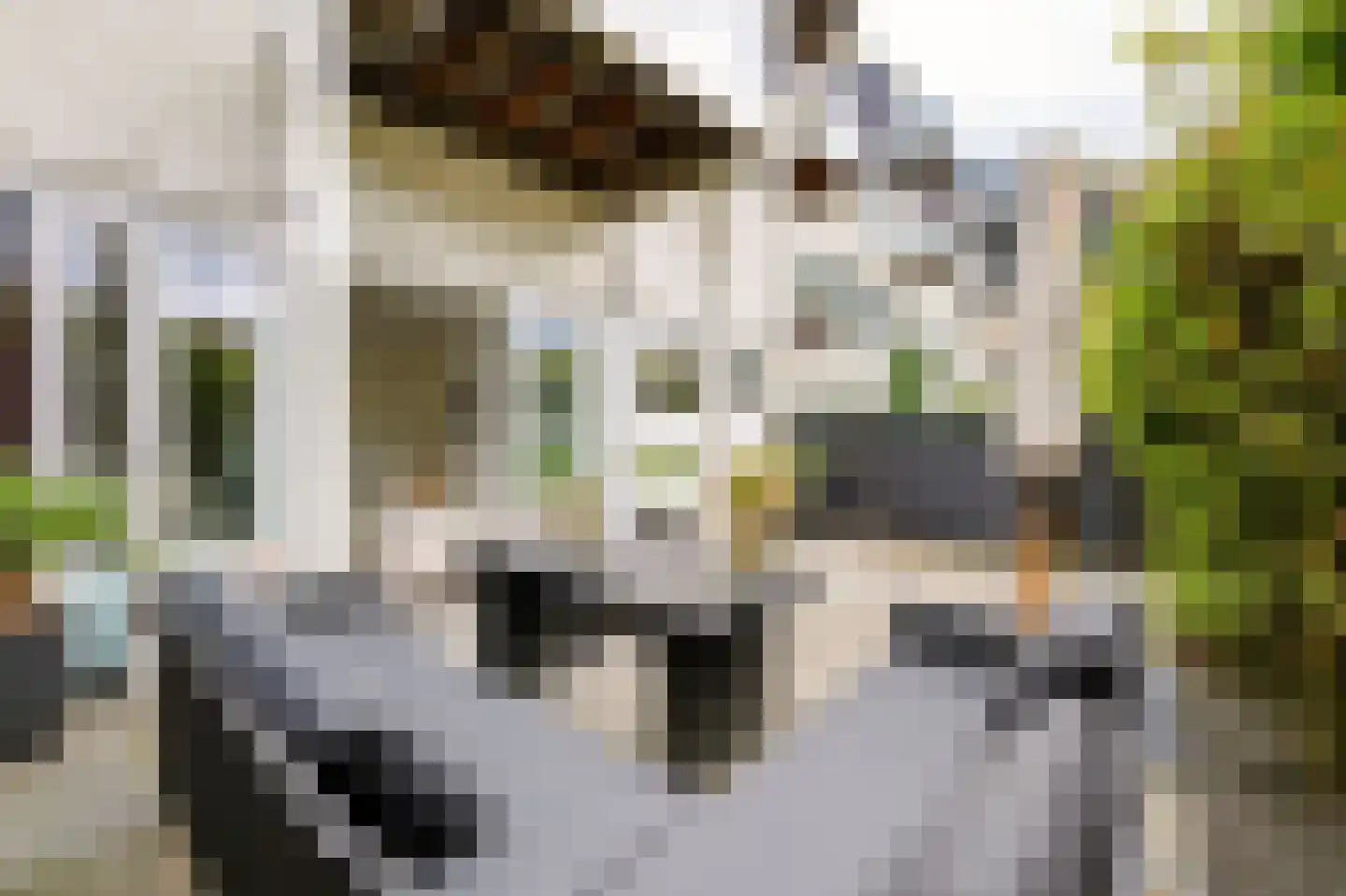 Randhoeve 223 103 Houten thumbnail 18