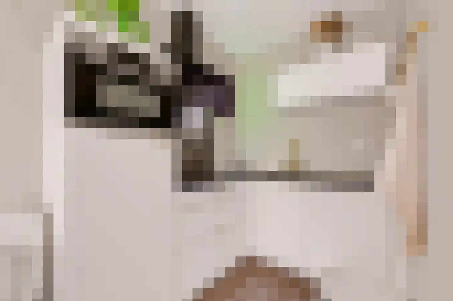 Randhoeve 223 103 Houten thumbnail 21