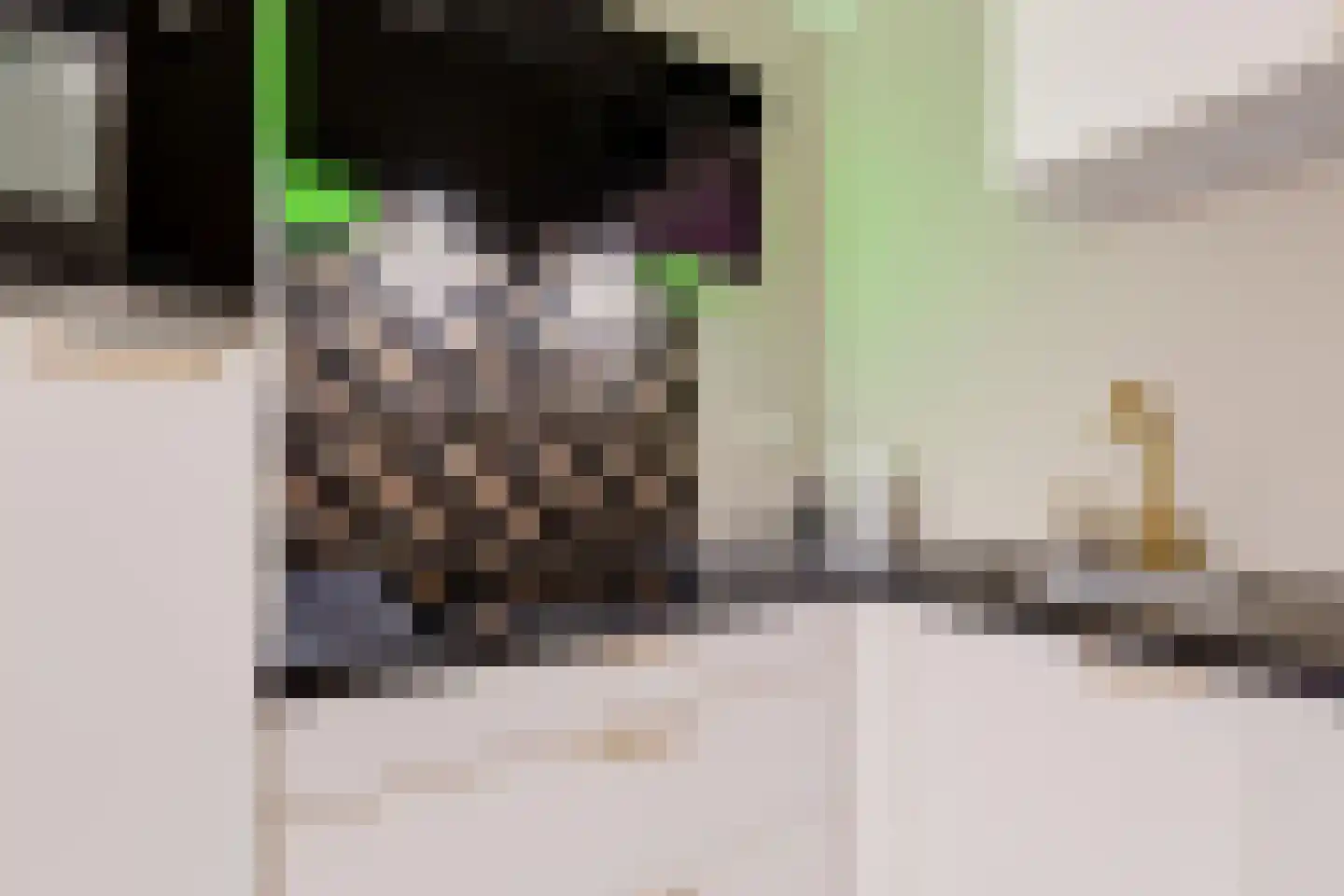 Randhoeve 223 103 Houten thumbnail 22