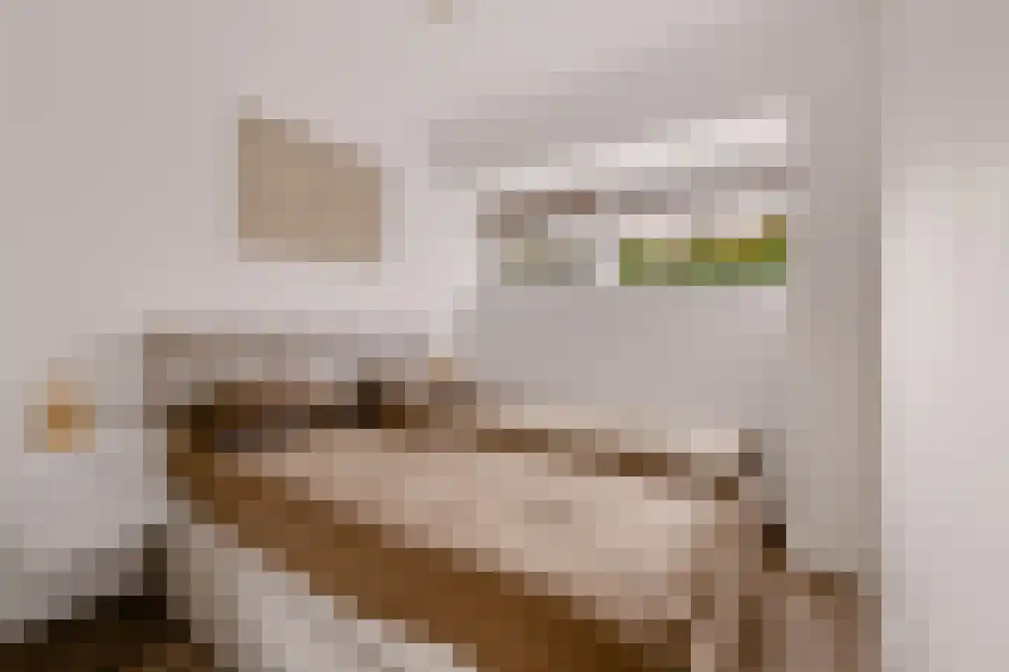 Randhoeve 223 103 Houten thumbnail 25