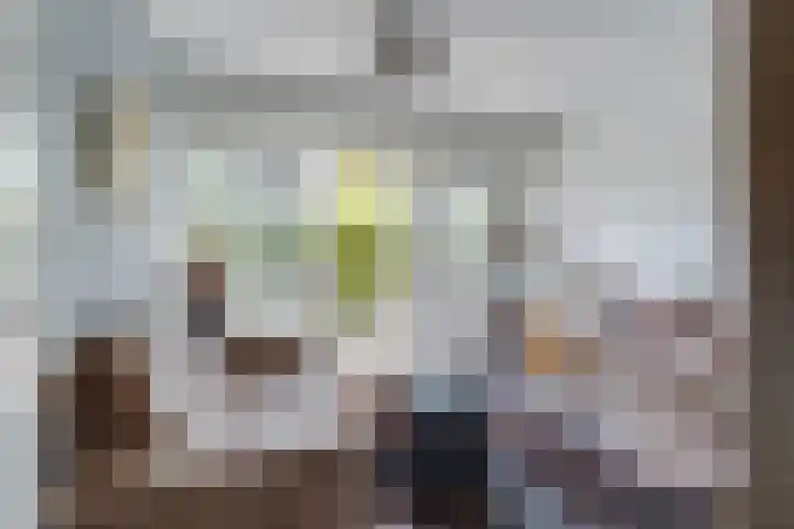 Randhoeve 223 103 Houten thumbnail 5