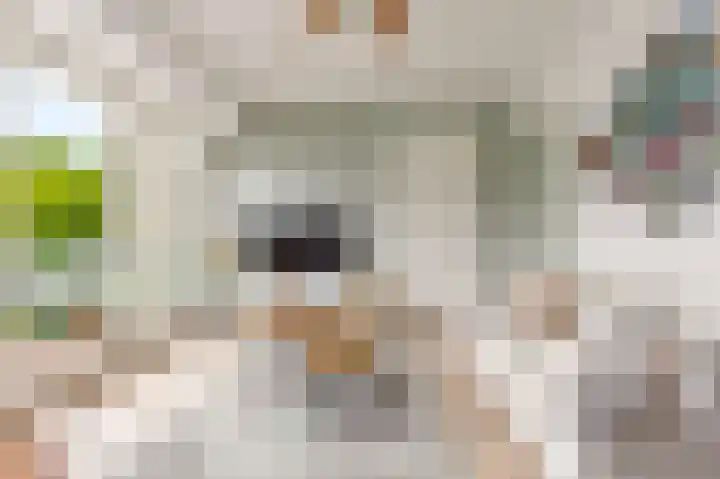 Randhoeve 223 206 Houten thumbnail 16