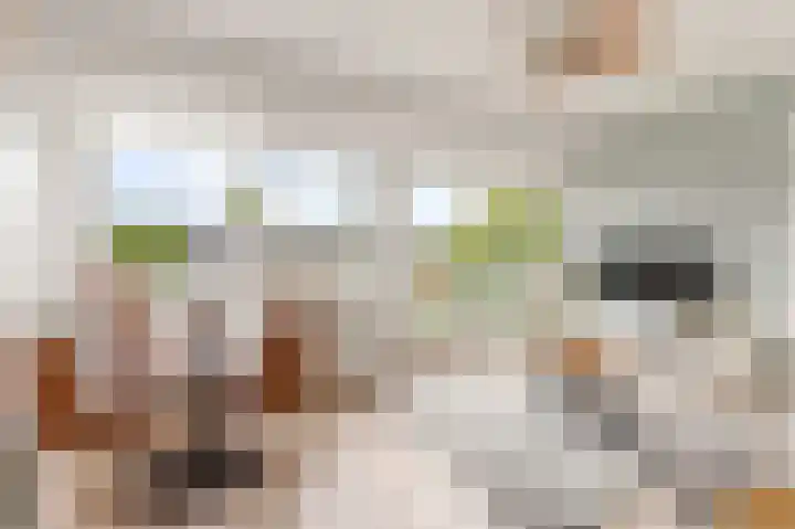 Randhoeve 223 206 Houten thumbnail 17