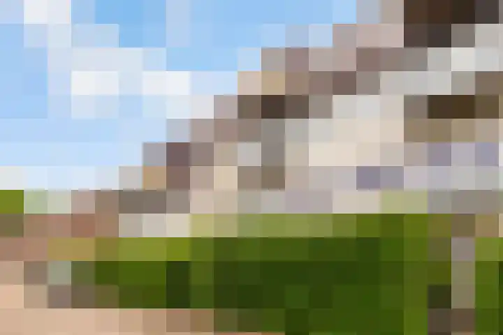 Randhoeve 223 206 Houten thumbnail 35
