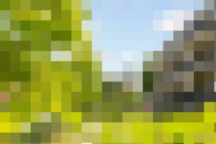 Randhoeve 223 206 Houten thumbnail 38