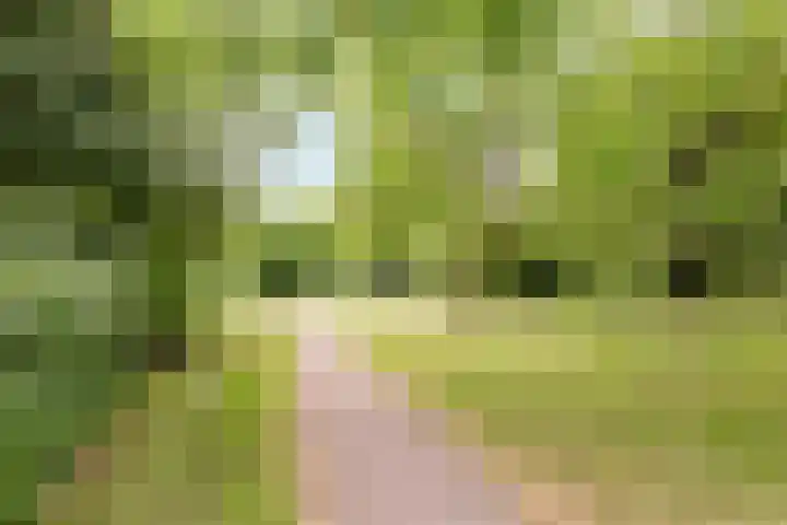 Randhoeve 223 206 Houten thumbnail 39