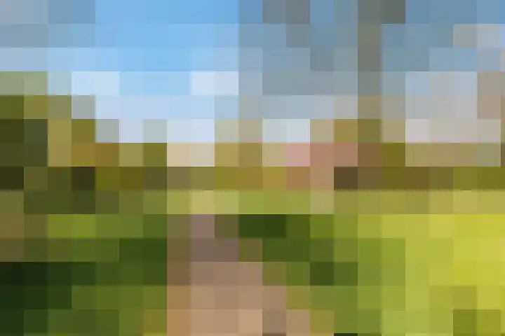 Randhoeve 223 206 Houten thumbnail 40