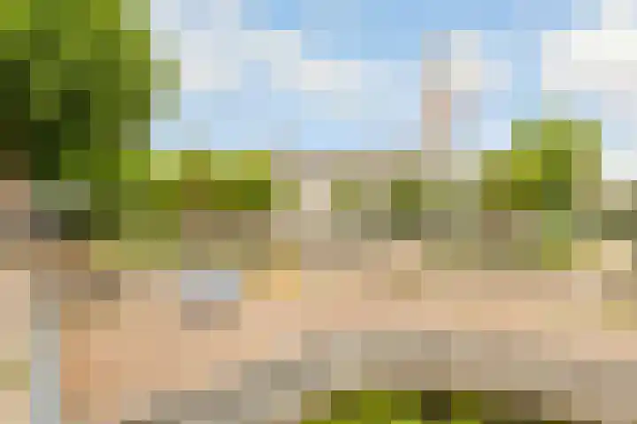 Randhoeve 223 206 Houten thumbnail 42
