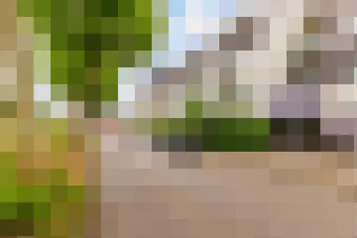 Randhoeve 223 206 Houten thumbnail 6