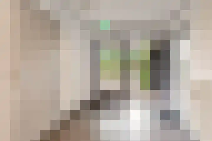 Randhoeve 223 206 Houten thumbnail 8