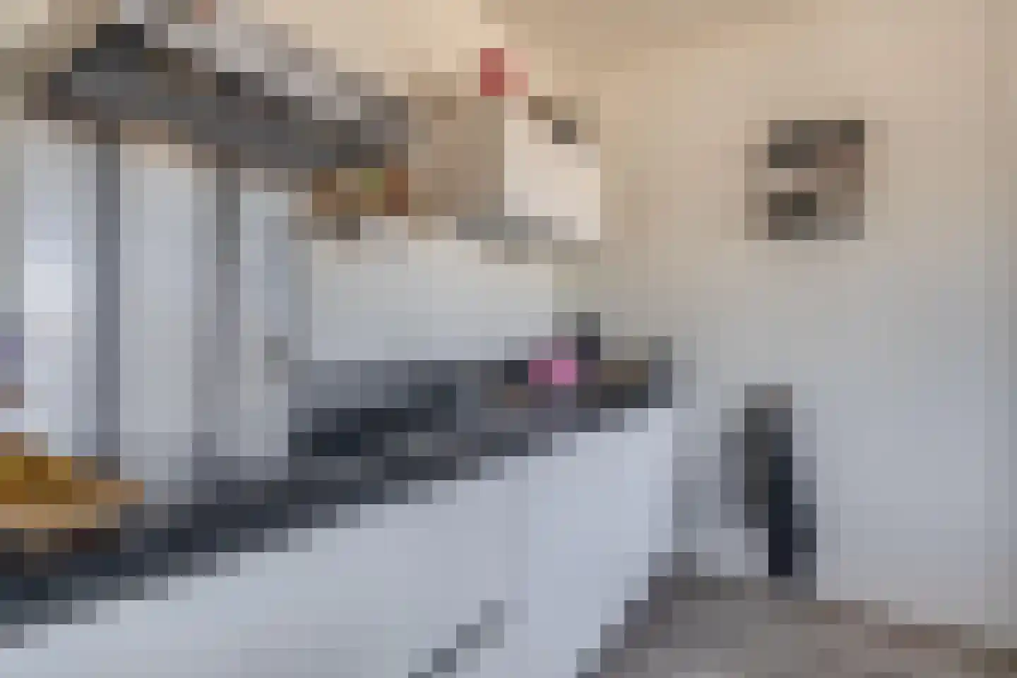 Randhoeve 223 305 Houten thumbnail 13
