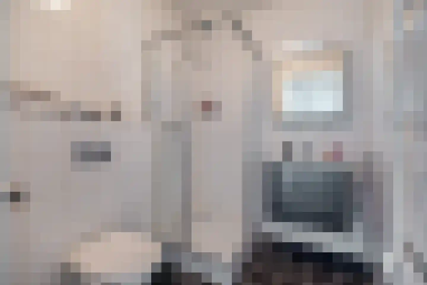 Randhoeve 223 305 Houten thumbnail 19