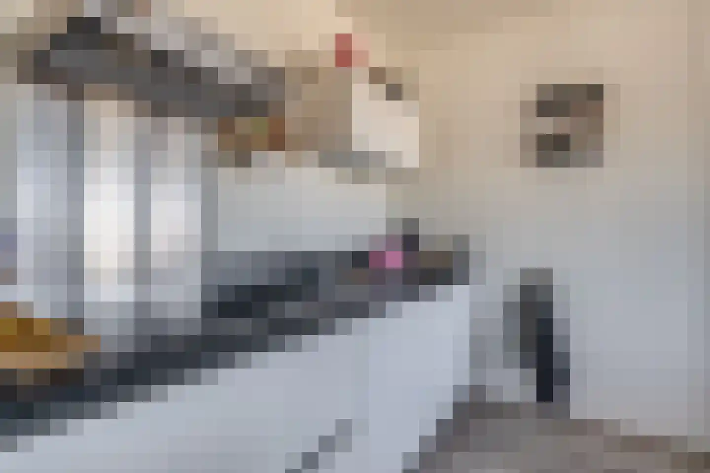 Randhoeve 223 305 Houten thumbnail 32