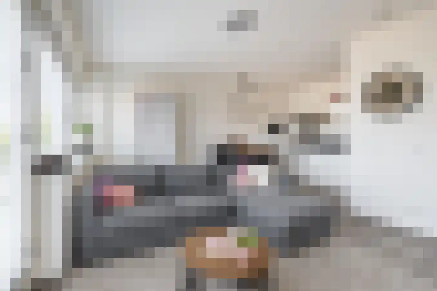 Randhoeve 223 305 Houten thumbnail 8