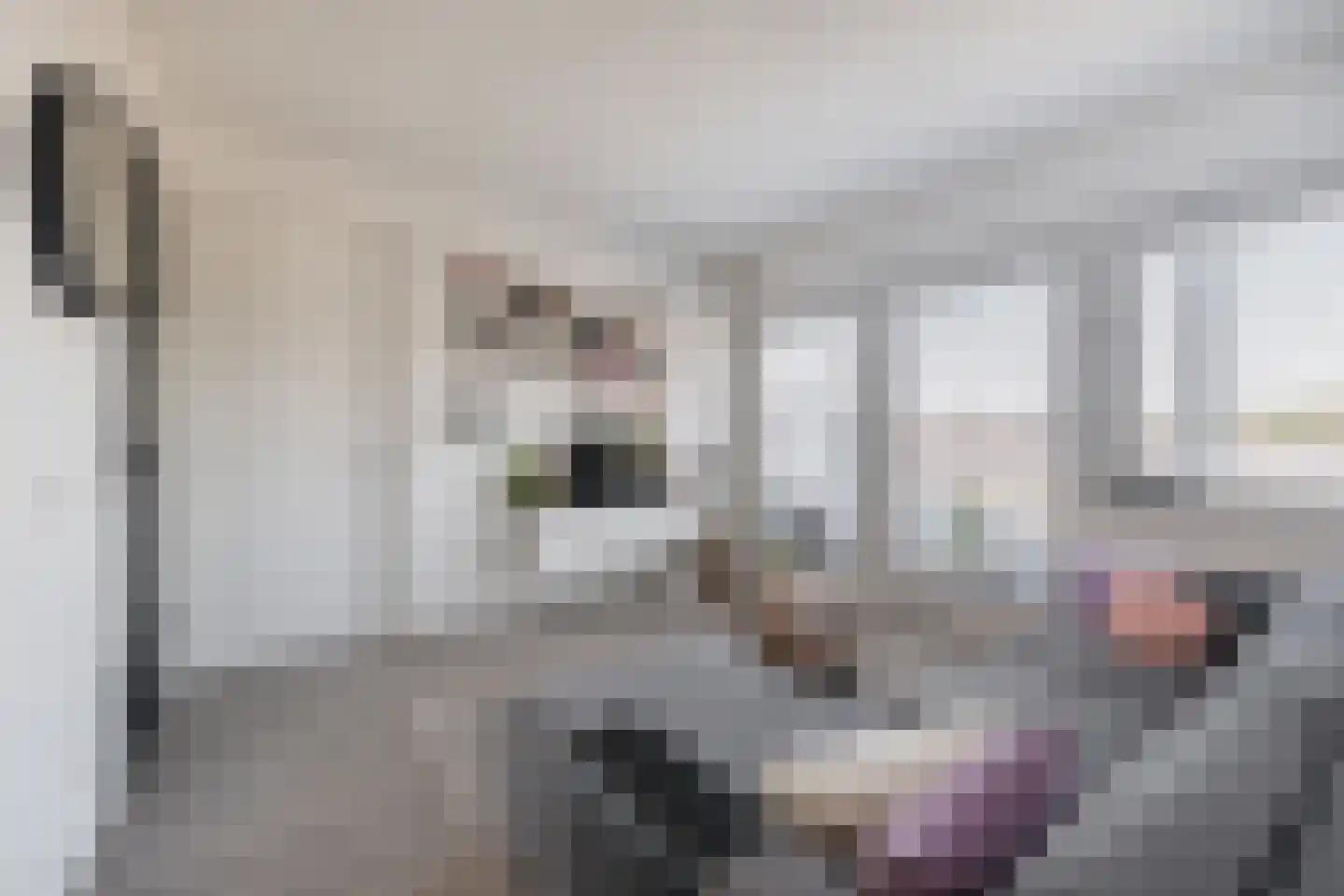 Randhoeve 223 305 Houten thumbnail 9