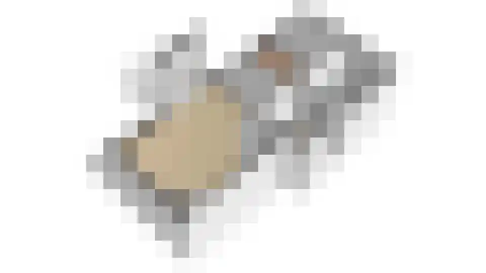 Randhoeve 223 404 Houten thumbnail 38