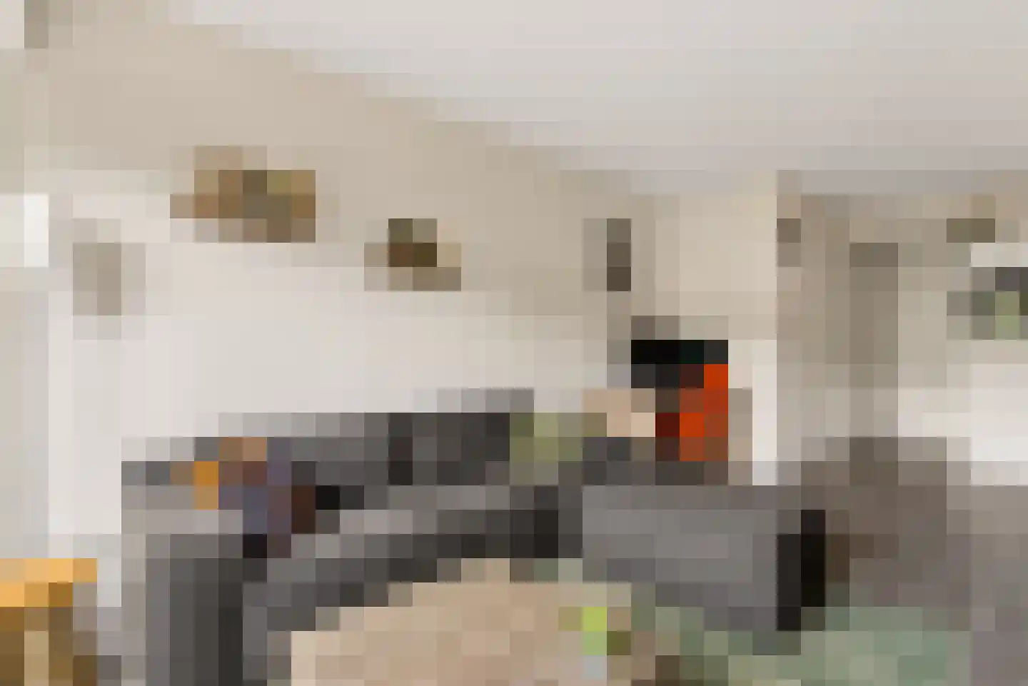 Randhoeve 223 b Houten thumbnail 12