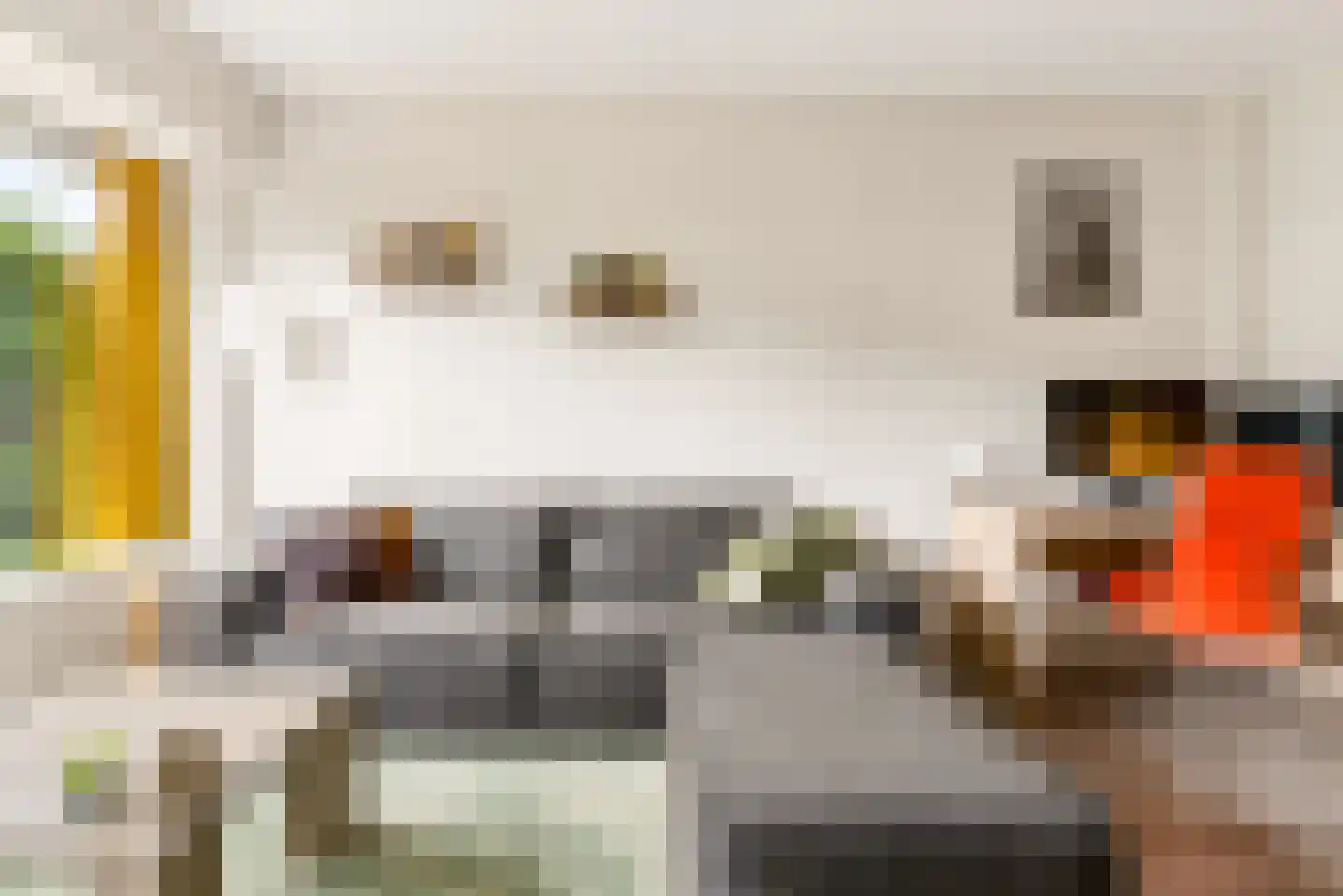 Randhoeve 223 b Houten thumbnail 13