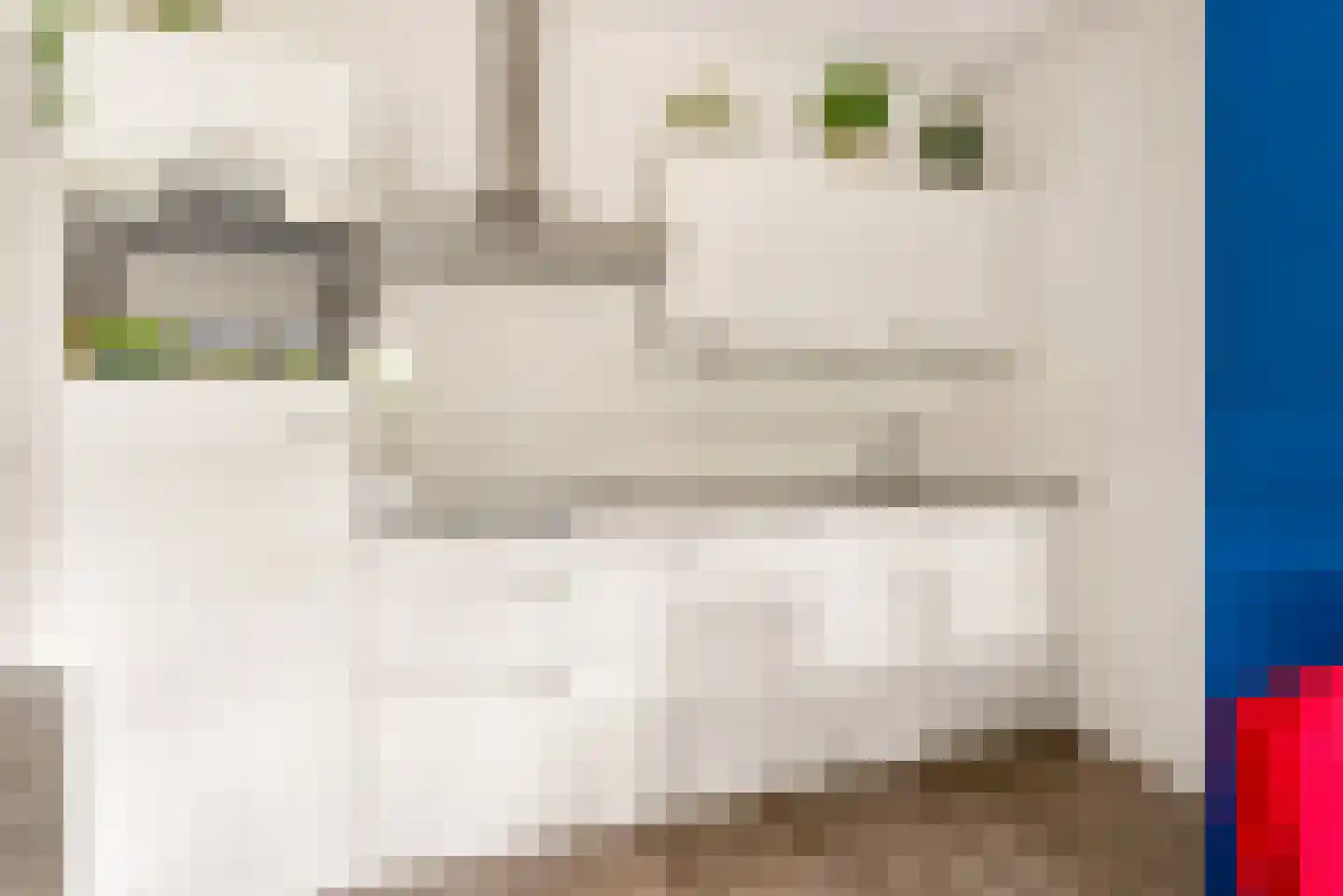 Randhoeve 223 b Houten thumbnail 18