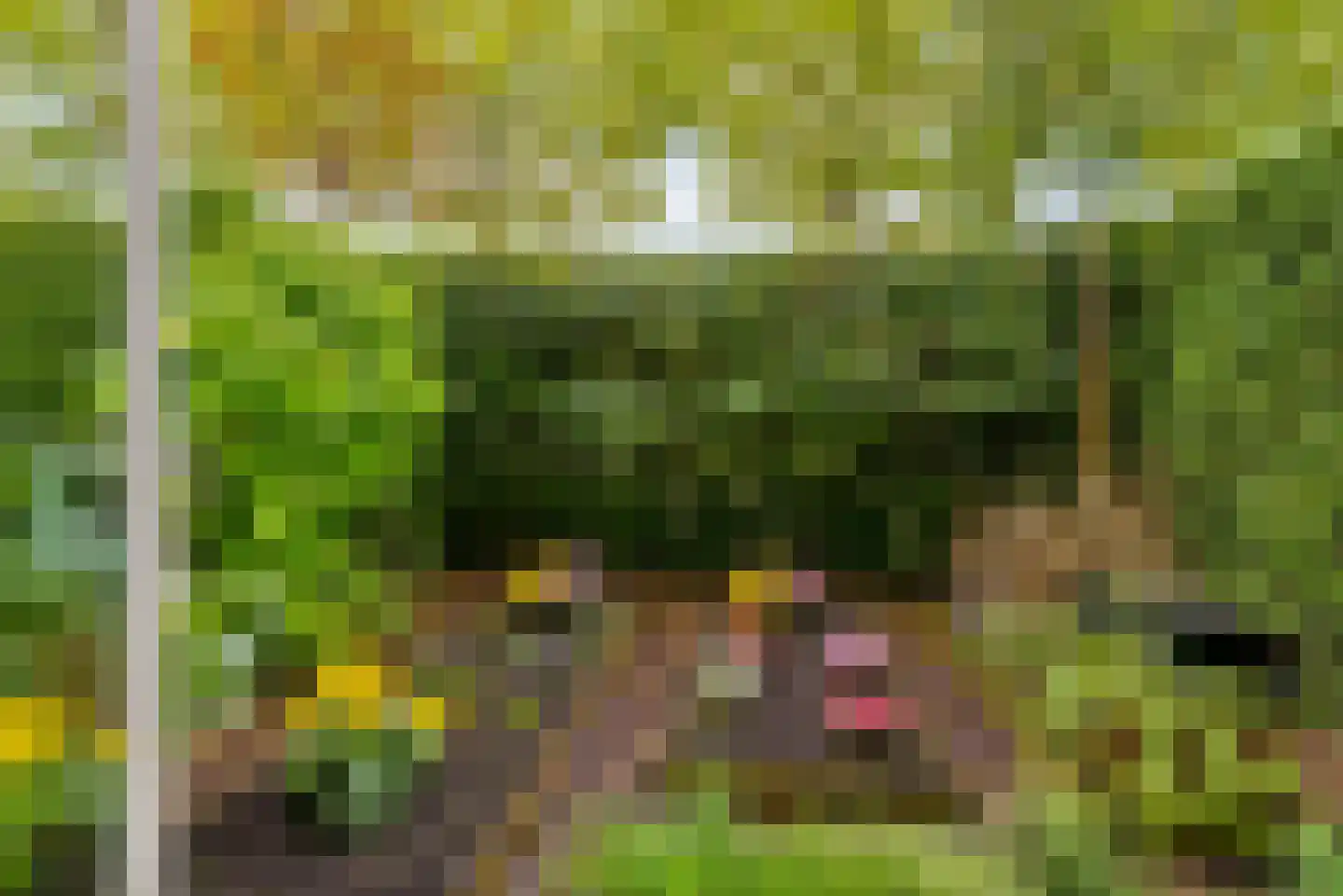 Randhoeve 223 b Houten thumbnail 30