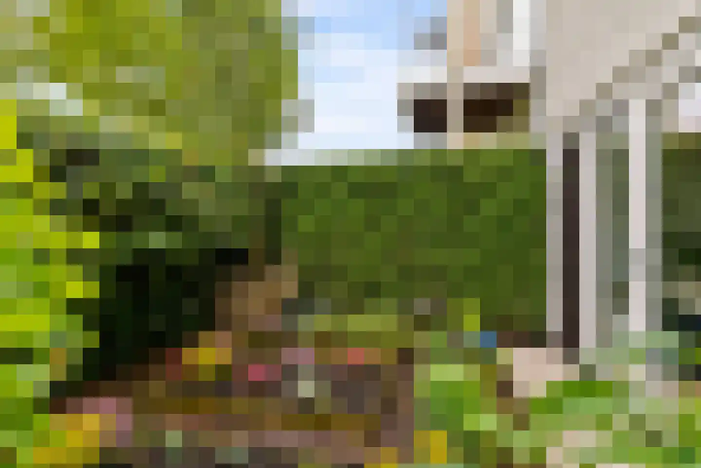 Randhoeve 223 b Houten thumbnail 32