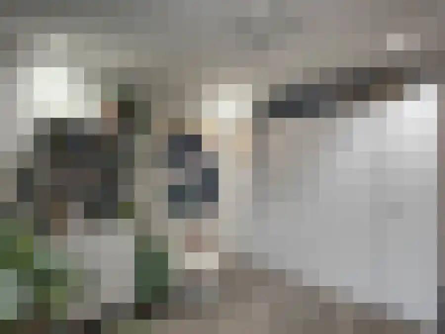 Randhoeve 225 Houten thumbnail 4