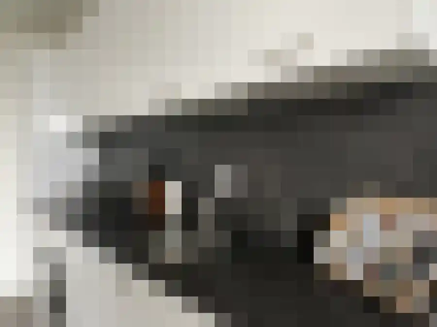 Randhoeve 225 Houten thumbnail 6