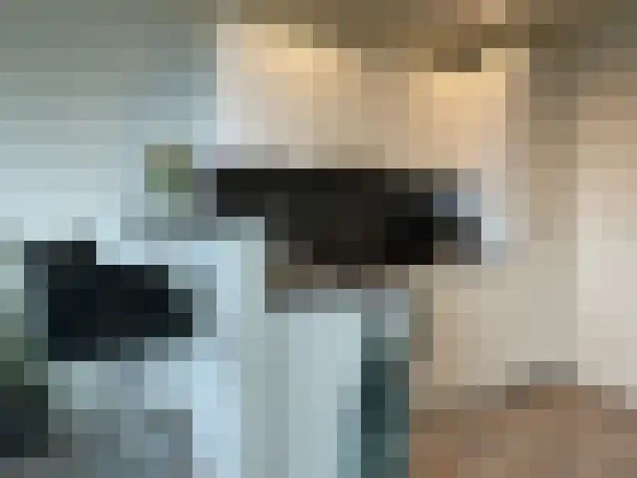 Randhoeve 225 Houten thumbnail 6
