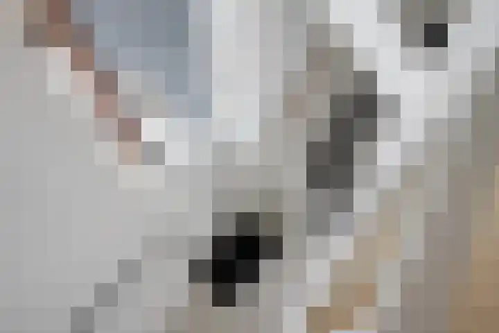 Randmeer 1 Barendrecht thumbnail 20