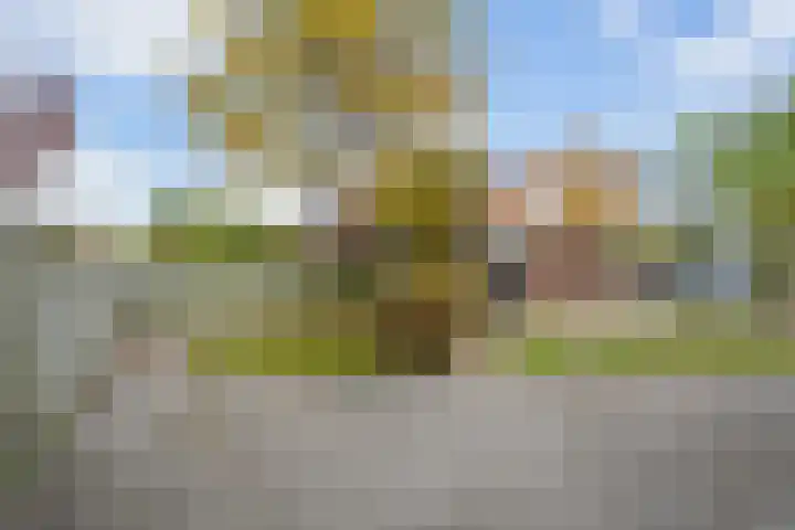 Randmeer 1 Barendrecht thumbnail 34