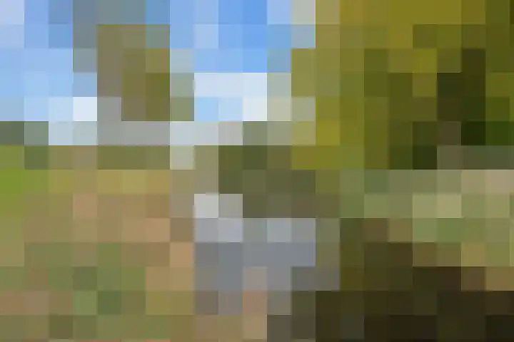 Randmeer 1 Barendrecht thumbnail 4
