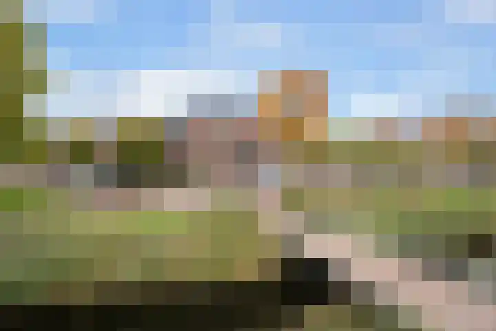 Randmeer 1 Barendrecht thumbnail 42