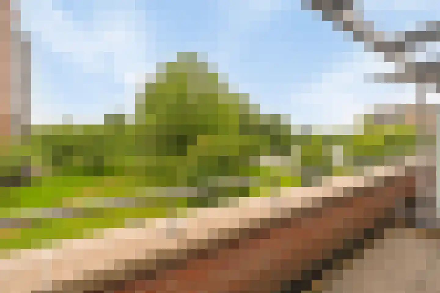 Randmeer 45 Barendrecht thumbnail 34