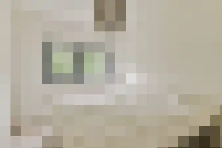 Randmeerstraat 102 Lisse thumbnail 15