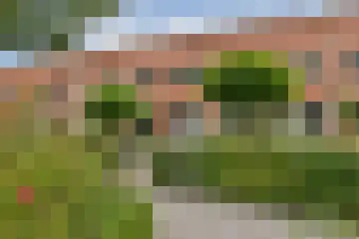Randmeerstraat 102 Lisse thumbnail 35