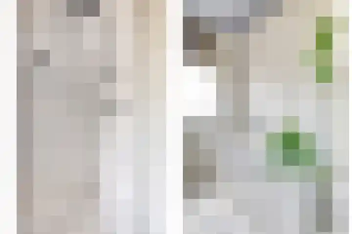 Randmeerstraat 112 Lisse thumbnail 31