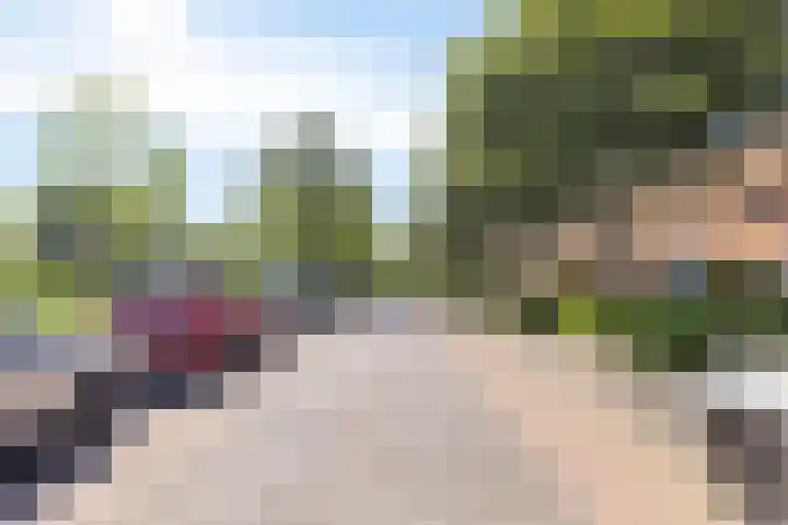 Randmeerstraat 112 Lisse thumbnail 7