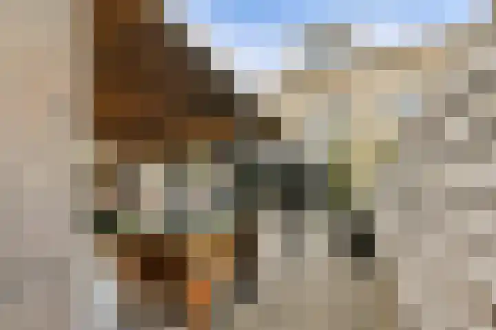 Randmeerstraat 18 Lisse thumbnail 13