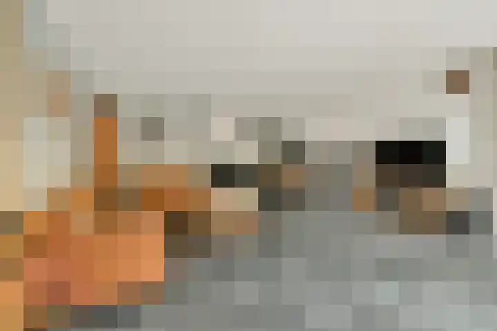 Randmeerstraat 18 Lisse thumbnail 5