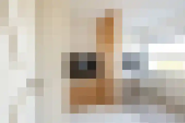 Randmeerstraat 43 Lisse thumbnail 43