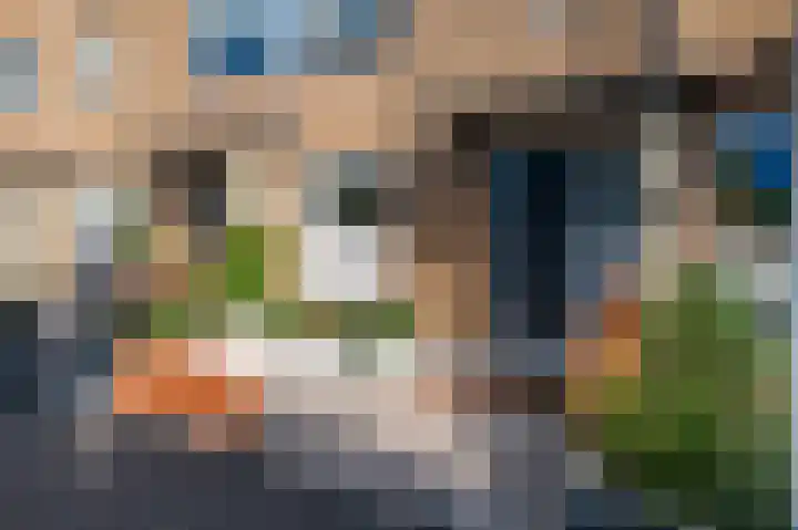 Randmeerstraat 43 Lisse thumbnail 48