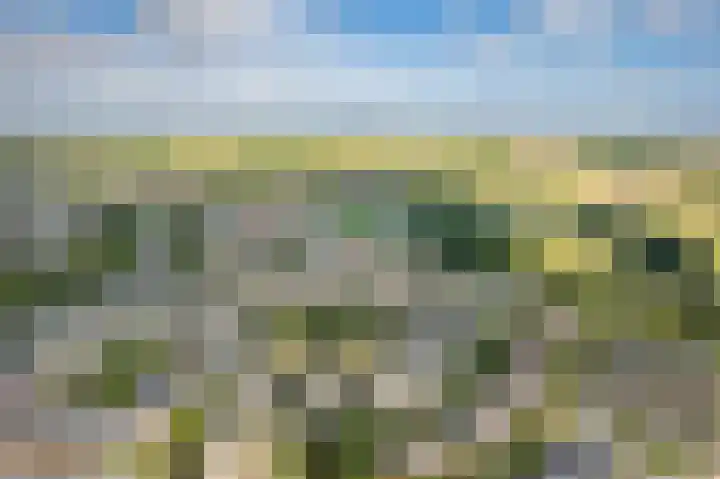 Randmeerstraat 43 Lisse thumbnail 5