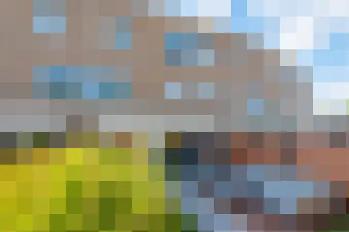 Randmeerstraat 43 Lisse thumbnail 56