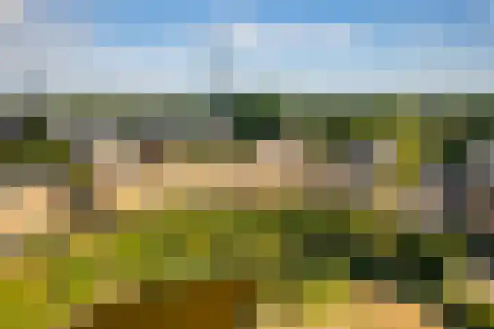 Randmeerstraat 43 Lisse thumbnail 6